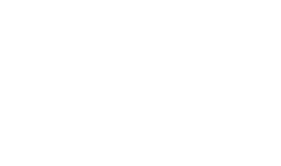 Hyundaimihak